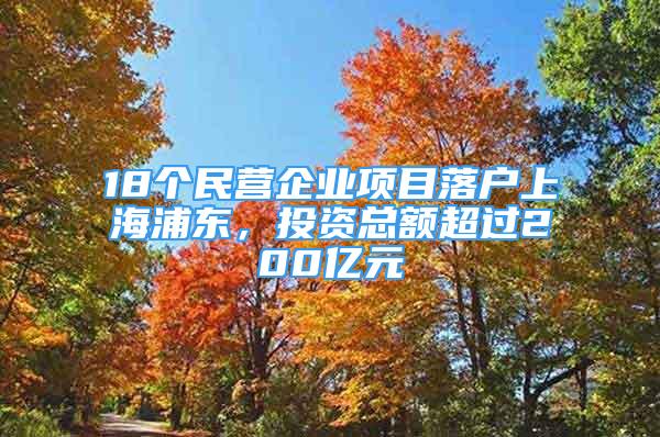 18個民營企業(yè)項目落戶上海浦東，投資總額超過200億元