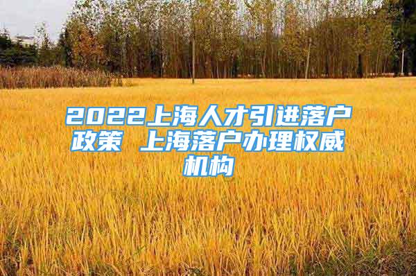 2022上海人才引進(jìn)落戶政策 上海落戶辦理權(quán)威機(jī)構(gòu)