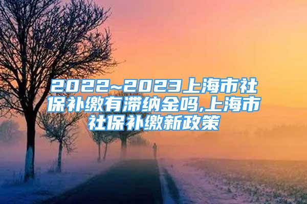 2022~2023上海市社保補(bǔ)繳有滯納金嗎,上海市社保補(bǔ)繳新政策