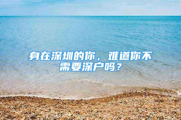 身在深圳的你，難道你不需要深戶嗎？