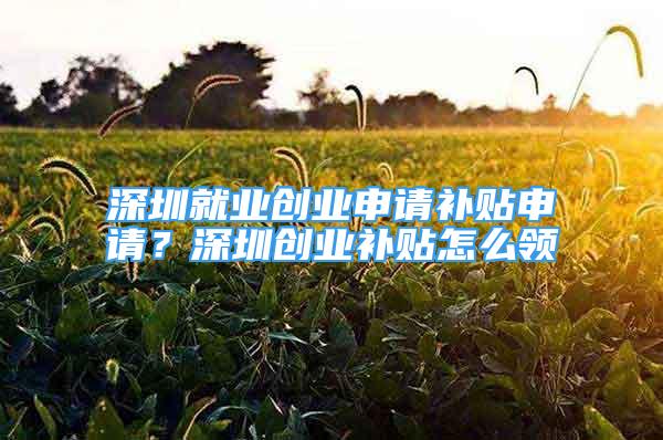 深圳就業(yè)創(chuàng)業(yè)申請(qǐng)補(bǔ)貼申請(qǐng)？深圳創(chuàng)業(yè)補(bǔ)貼怎么領(lǐng)