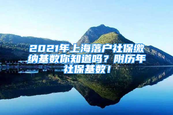 2021年上海落戶社保繳納基數(shù)你知道嗎？附歷年社?；鶖?shù)！