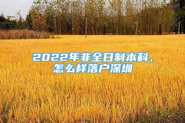 2022年非全日制本科，怎么樣落戶深圳