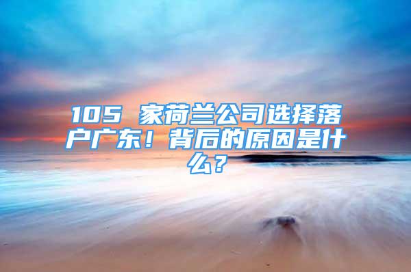 105 家荷蘭公司選擇落戶廣東！背后的原因是什么？