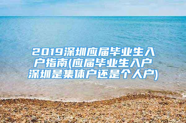 2019深圳應(yīng)屆畢業(yè)生入戶指南(應(yīng)屆畢業(yè)生入戶深圳是集體戶還是個人戶)