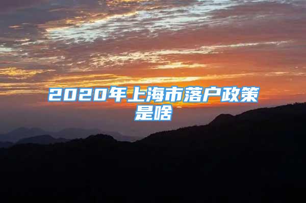 2020年上海市落戶政策是啥