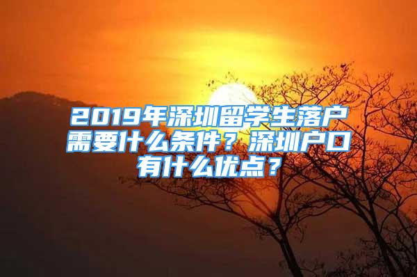 2019年深圳留學(xué)生落戶需要什么條件？深圳戶口有什么優(yōu)點(diǎn)？