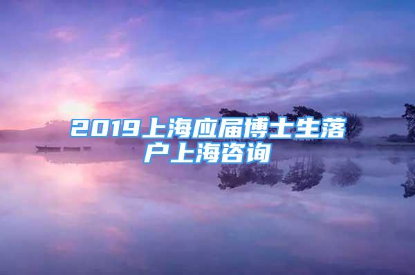 2019上海應(yīng)屆博士生落戶上海咨詢