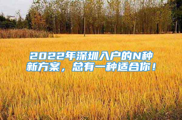 2022年深圳入戶的N種新方案，總有一種適合你！