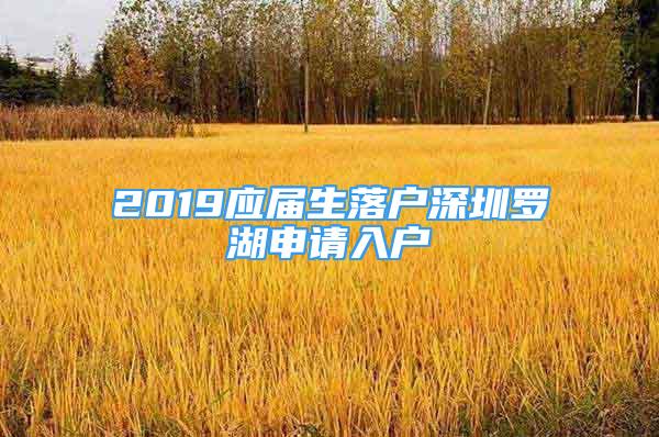 2019應(yīng)屆生落戶深圳羅湖申請入戶