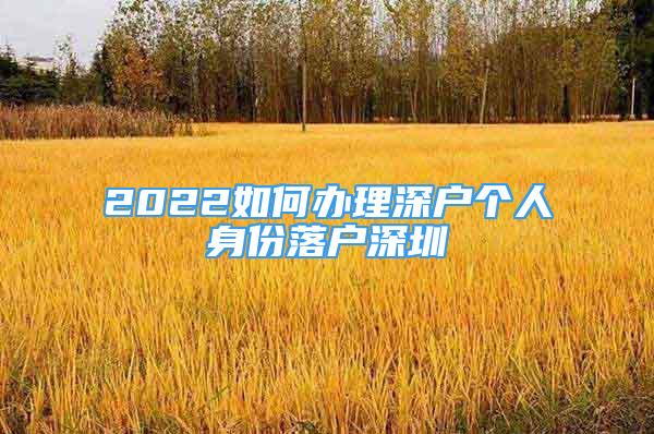 2022如何辦理深戶個(gè)人身份落戶深圳