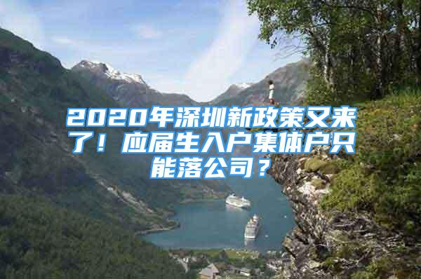 2020年深圳新政策又來了！應(yīng)屆生入戶集體戶只能落公司？