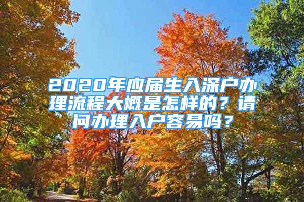 2020年應(yīng)屆生入深戶辦理流程大概是怎樣的？請問辦理入戶容易嗎？