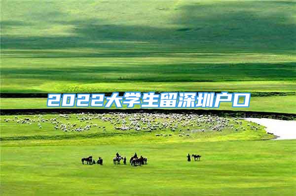 2022大學(xué)生留深圳戶口