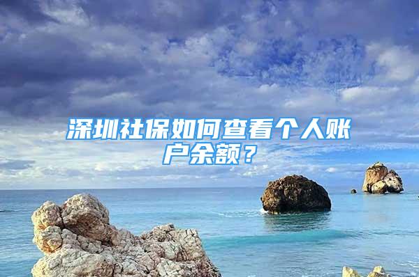 深圳社保如何查看個(gè)人賬戶(hù)余額？