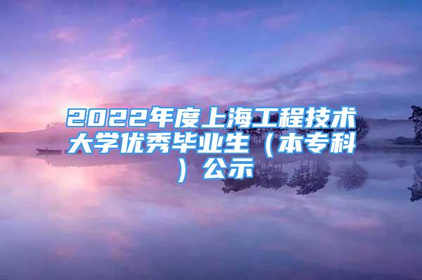 2022年度上海工程技術(shù)大學(xué)優(yōu)秀畢業(yè)生（本?？疲┕?/></p>
								<p style=