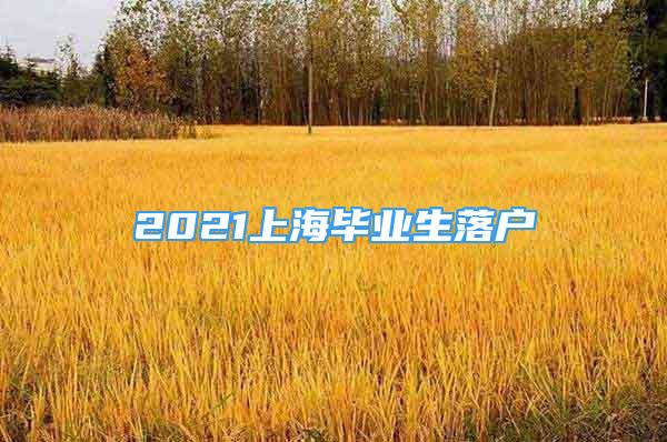 2021上海畢業(yè)生落戶