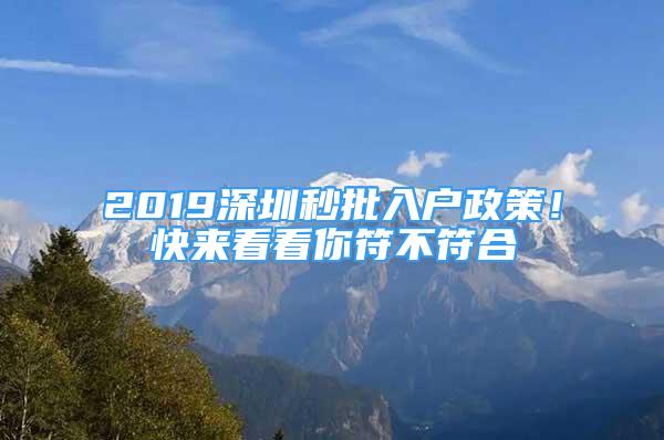 2019深圳秒批入戶政策！快來(lái)看看你符不符合