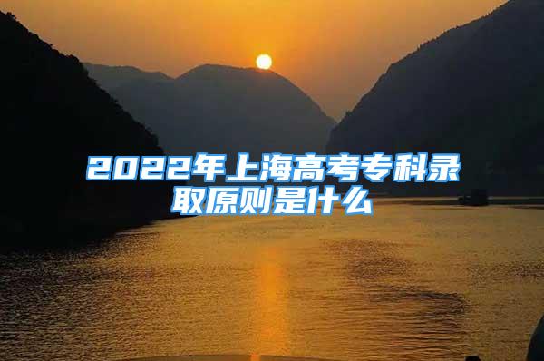 2022年上海高考專科錄取原則是什么