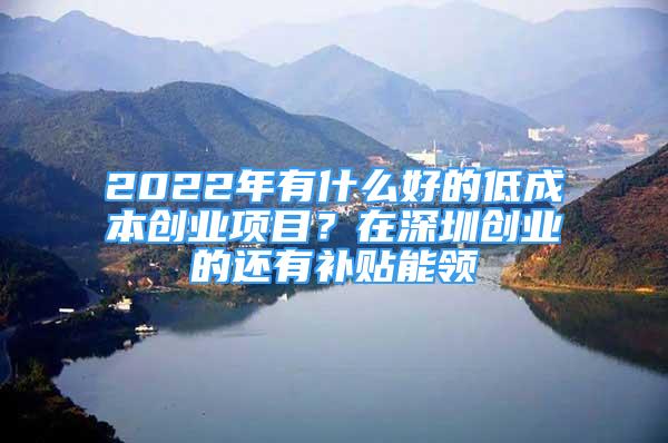 2022年有什么好的低成本創(chuàng)業(yè)項(xiàng)目？在深圳創(chuàng)業(yè)的還有補(bǔ)貼能領(lǐng)