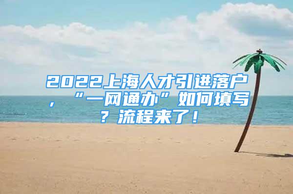 2022上海人才引進落戶，“一網(wǎng)通辦”如何填寫？流程來了！