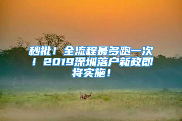 秒批！全流程最多跑一次！2019深圳落戶新政即將實(shí)施！