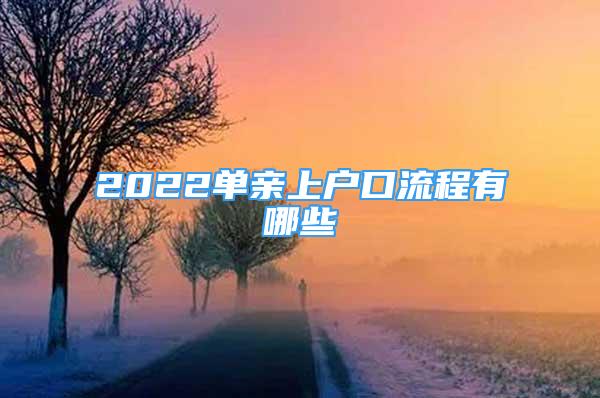 2022單親上戶口流程有哪些