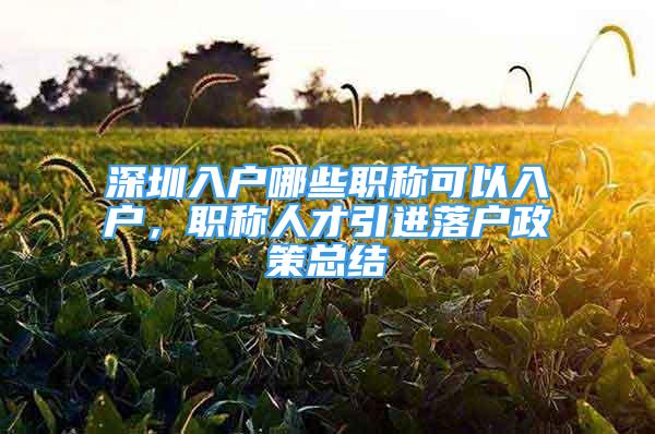 深圳入戶哪些職稱可以入戶，職稱人才引進(jìn)落戶政策總結(jié)