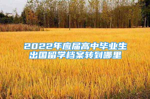 2022年應(yīng)屆高中畢業(yè)生出國(guó)留學(xué)檔案轉(zhuǎn)到哪里