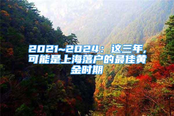 2021~2024：這三年,可能是上海落戶的最佳黃金時期