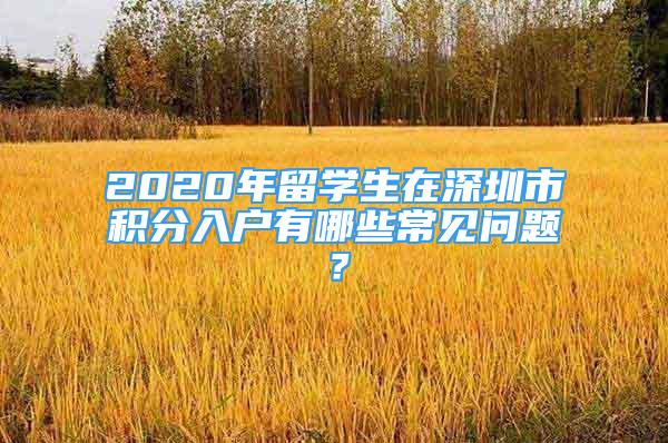 2020年留學(xué)生在深圳市積分入戶有哪些常見問題？