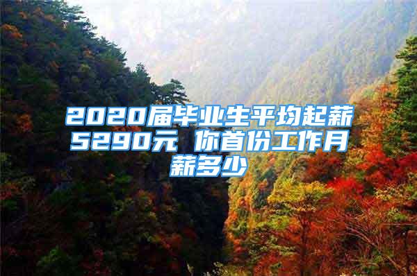 2020屆畢業(yè)生平均起薪5290元 你首份工作月薪多少