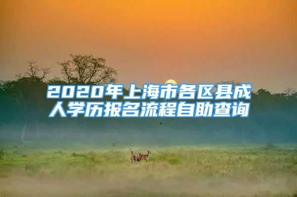 2020年上海市各區(qū)縣成人學(xué)歷報名流程自助查詢