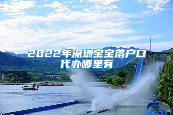 2022年深圳寶寶落戶口代辦哪里有