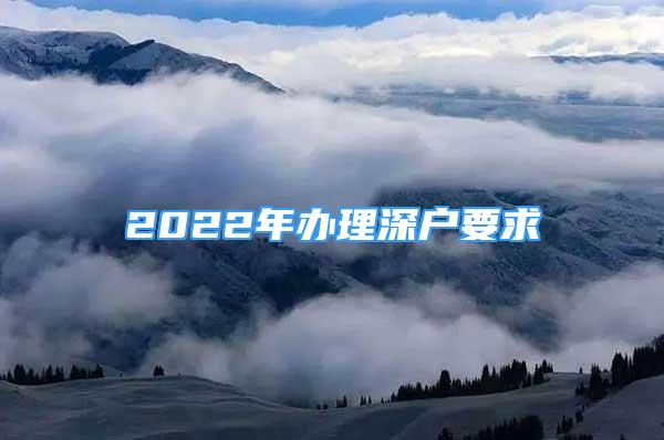 2022年辦理深戶要求