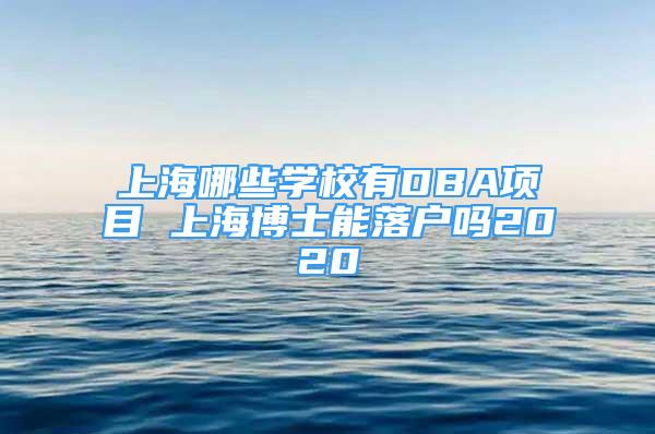 上海哪些學(xué)校有DBA項(xiàng)目 上海博士能落戶嗎2020