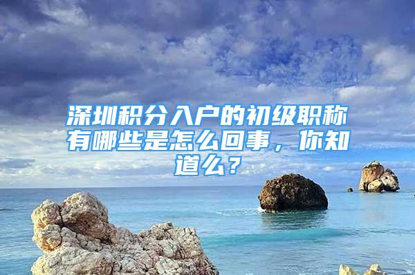 深圳積分入戶的初級(jí)職稱有哪些是怎么回事，你知道么？