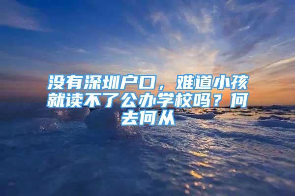 沒有深圳戶口，難道小孩就讀不了公辦學(xué)校嗎？何去何從