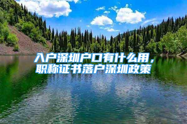 入戶深圳戶口有什么用，職稱證書落戶深圳政策