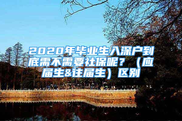 2020年畢業(yè)生入深戶到底需不需要社保呢？（應(yīng)屆生&往屆生）區(qū)別