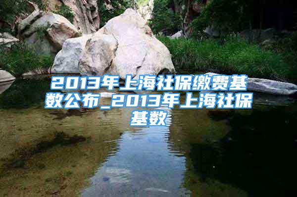 2013年上海社保繳費基數(shù)公布_2013年上海社保基數(shù)