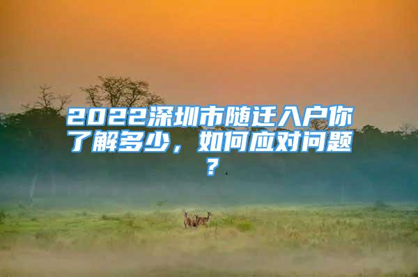 2022深圳市隨遷入戶你了解多少，如何應(yīng)對(duì)問(wèn)題？