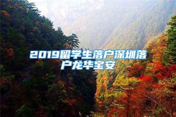 2019留學生落戶深圳落戶龍華寶安