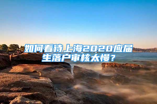 如何看待上海2020應(yīng)屆生落戶審核太慢？