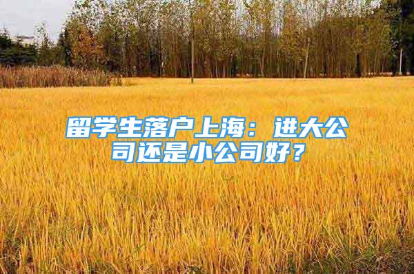 留學生落戶上海：進大公司還是小公司好？