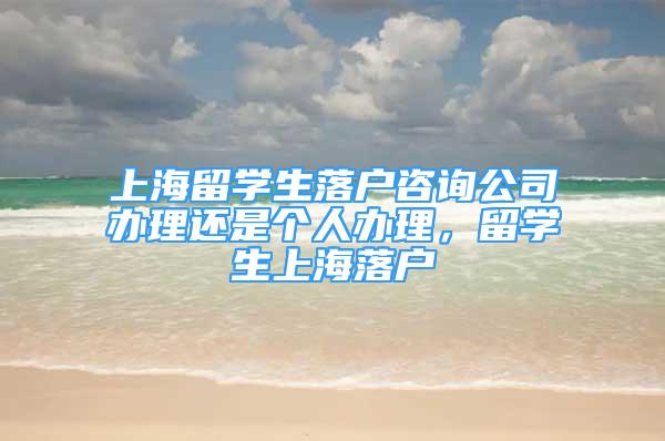 上海留學生落戶咨詢公司辦理還是個人辦理，留學生上海落戶