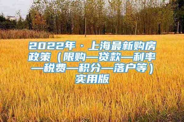 2022年·上海最新購房政策（限購—貸款—利率—稅費(fèi)—積分—落戶等）實(shí)用版