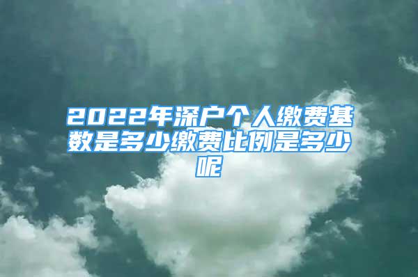 2022年深戶個人繳費基數(shù)是多少繳費比例是多少呢