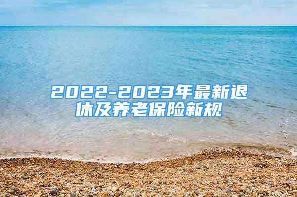 2022-2023年最新退休及養(yǎng)老保險新規(guī)