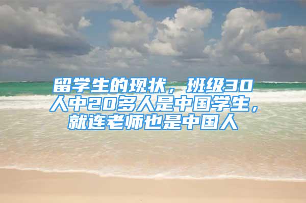 留學生的現狀，班級30人中20多人是中國學生，就連老師也是中國人